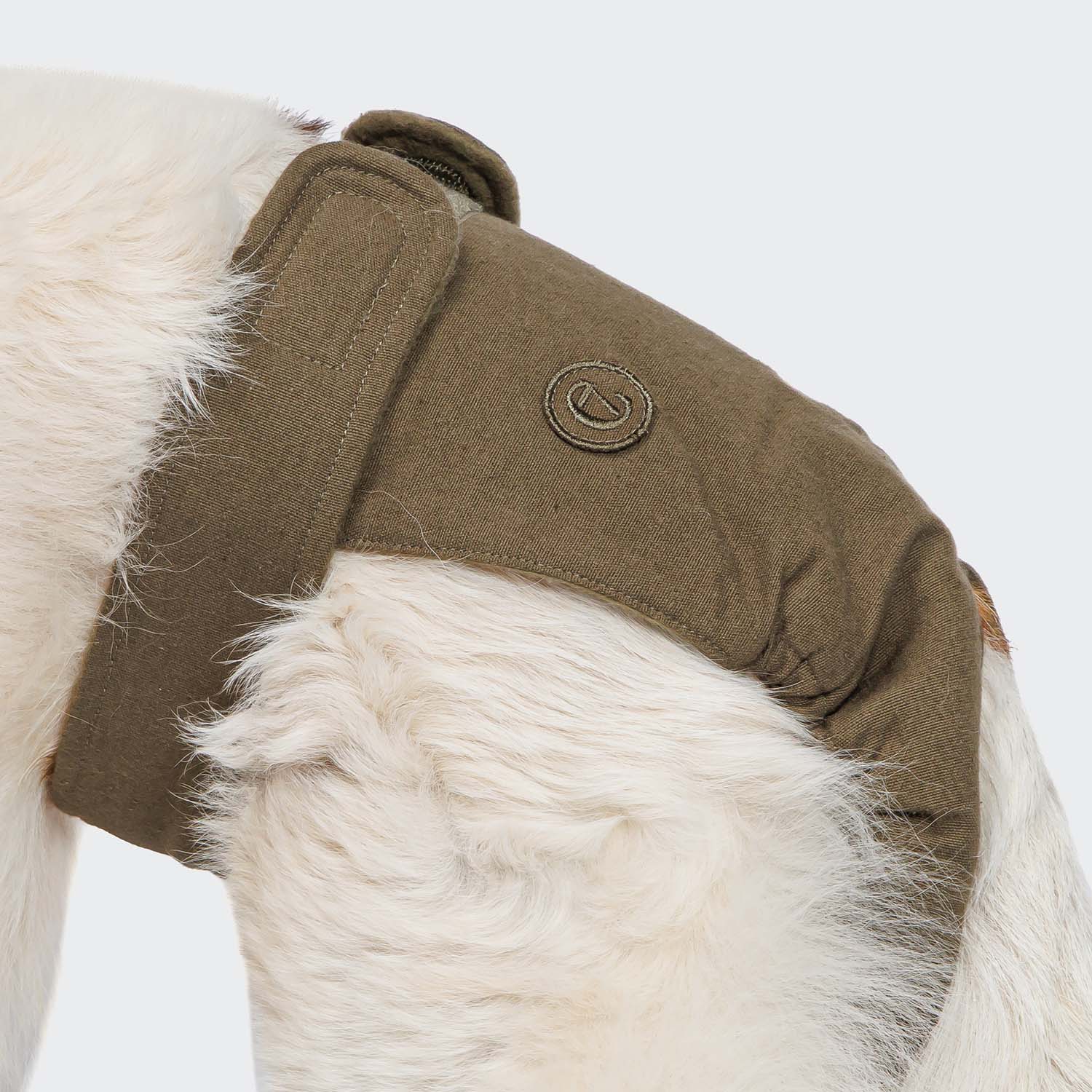 Läufigkeitshöschen