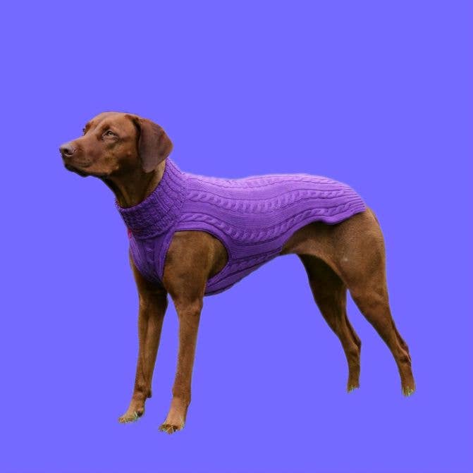 Hundepullover SMARTY VIOLETT 100 % Merinowolle