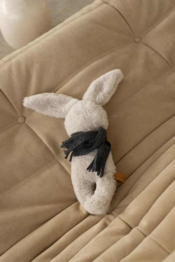 Spielzeuge Hase Polly, Lieblingspfote