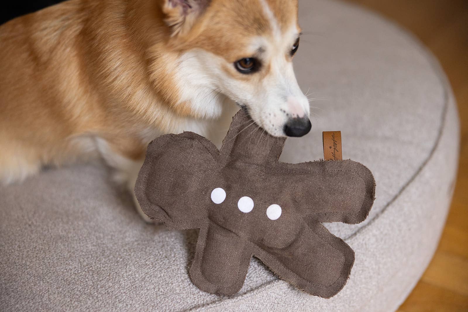 Spielzeug Lebkuchenmann aus Canvas, Lieblingspfote