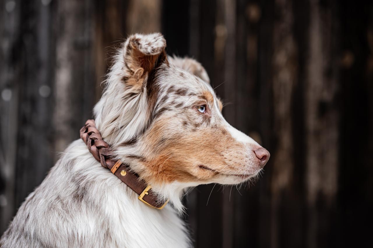 Fettlederhalsband geflochten, Souleashes, dunkelbraun