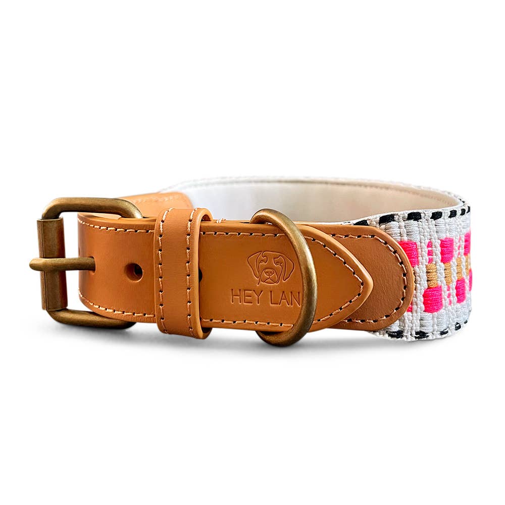 Premium Hundehalsband Gepolstert