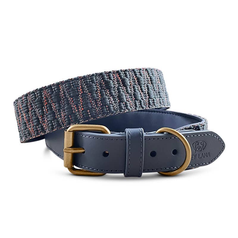 Premium Hundehalsband Gepolstert