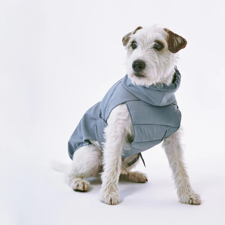 Wintermantel 'Stefano', MiaCara