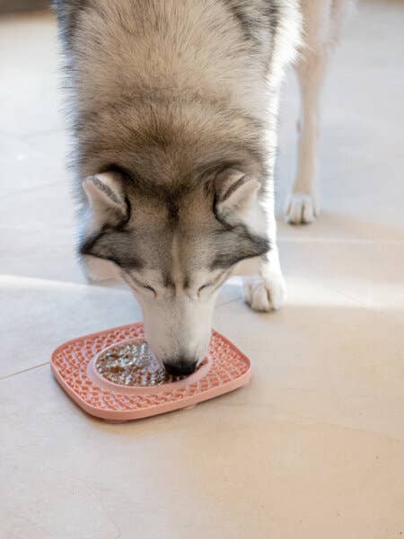Leckmatte für Hunde und Katzen - YOOMy Plate - Gelb