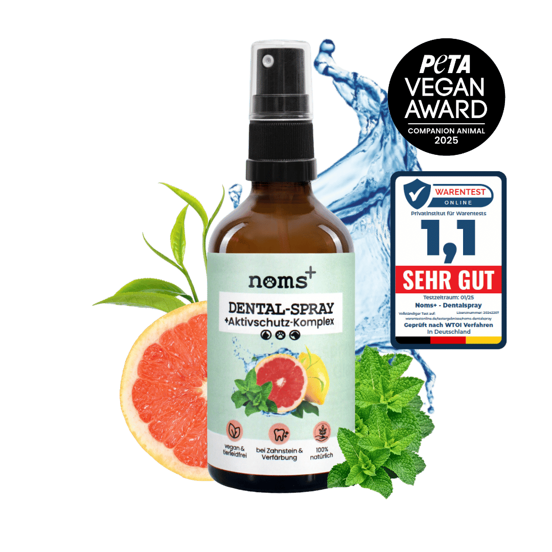 Dental-Spray bei Zahnstein für Hunde und Katzen