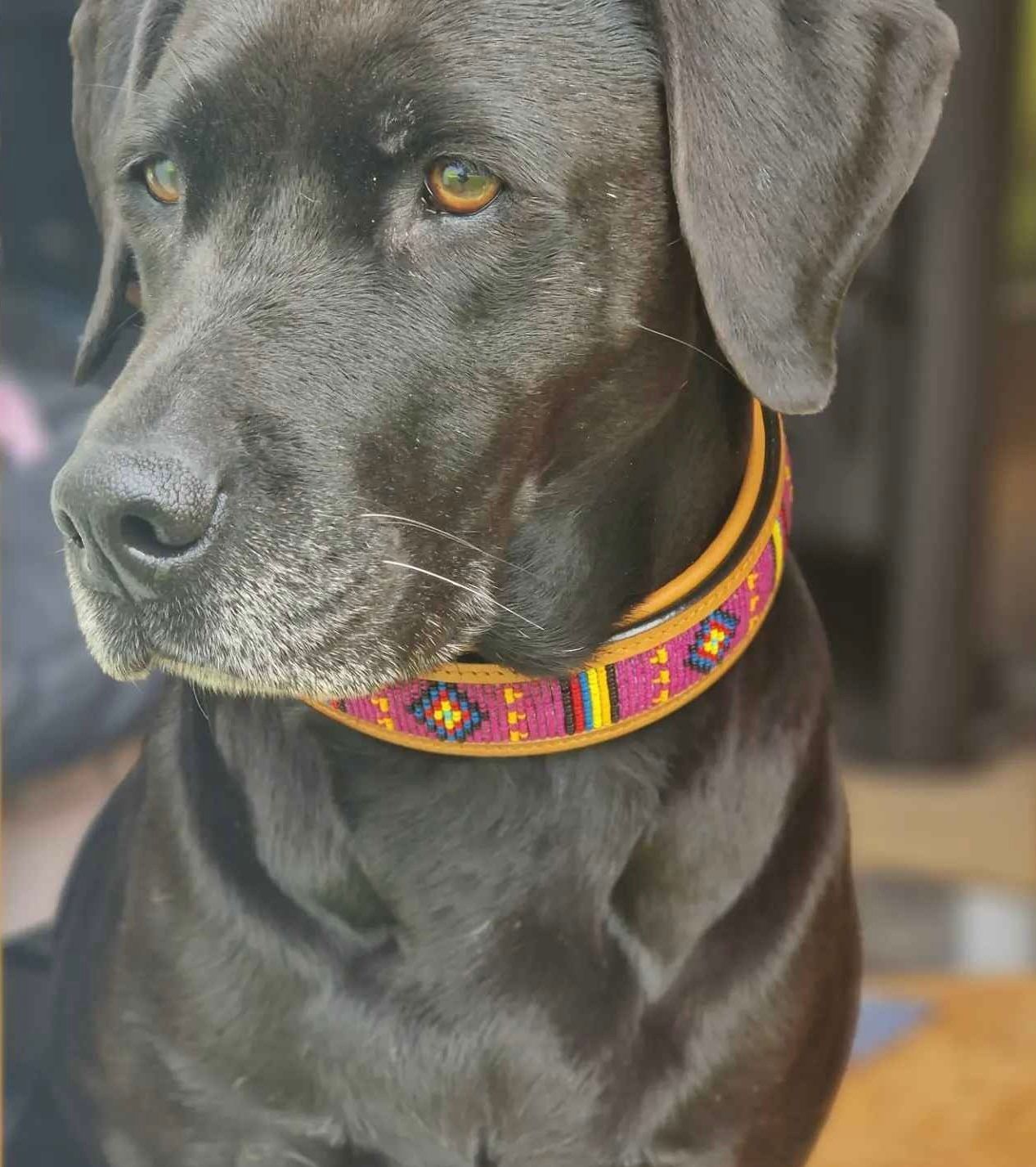 Halsband, African Sun, Kayline