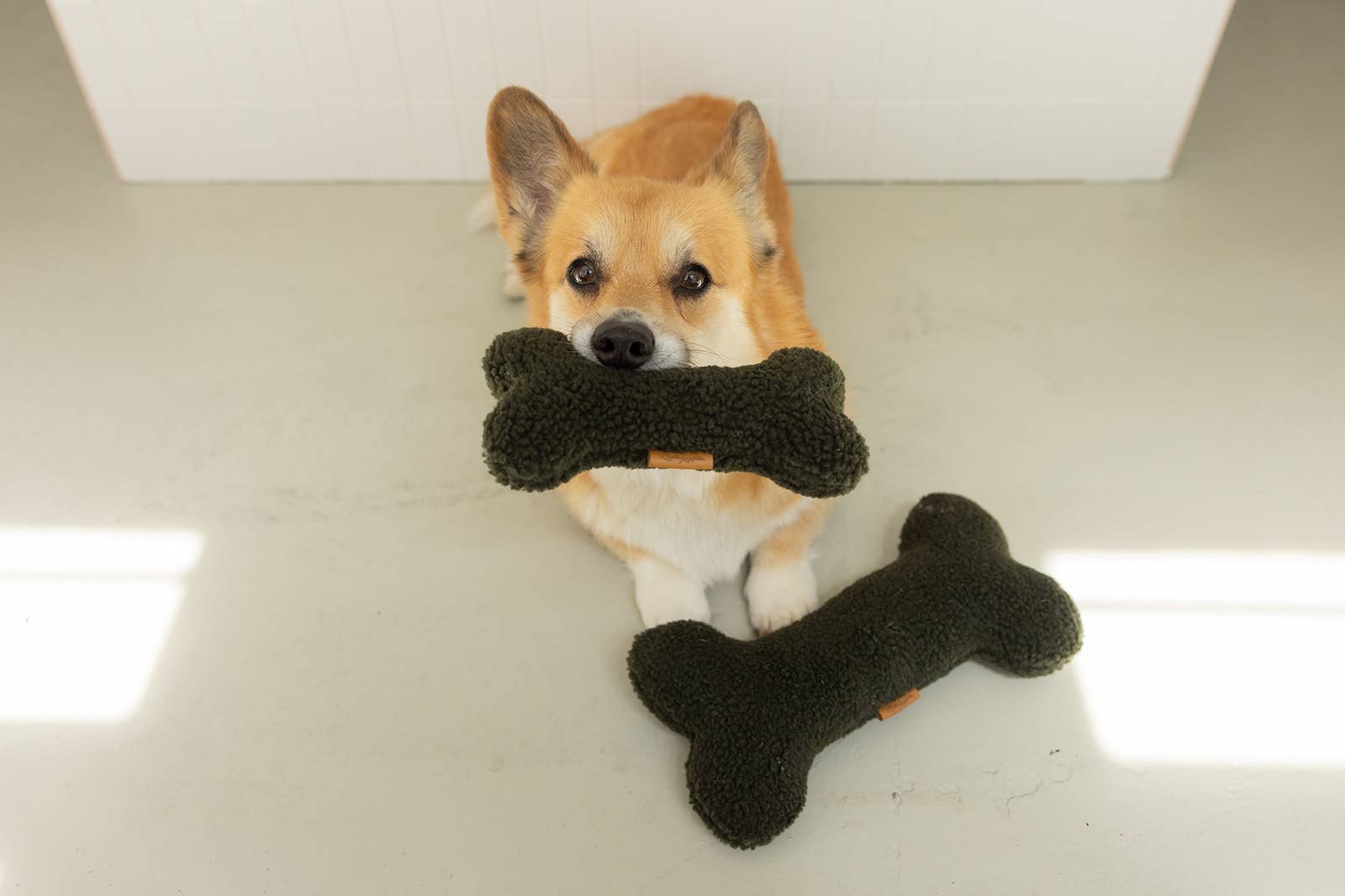 Spielzeug Knochen Teddy Army Green, Lieblingspfote