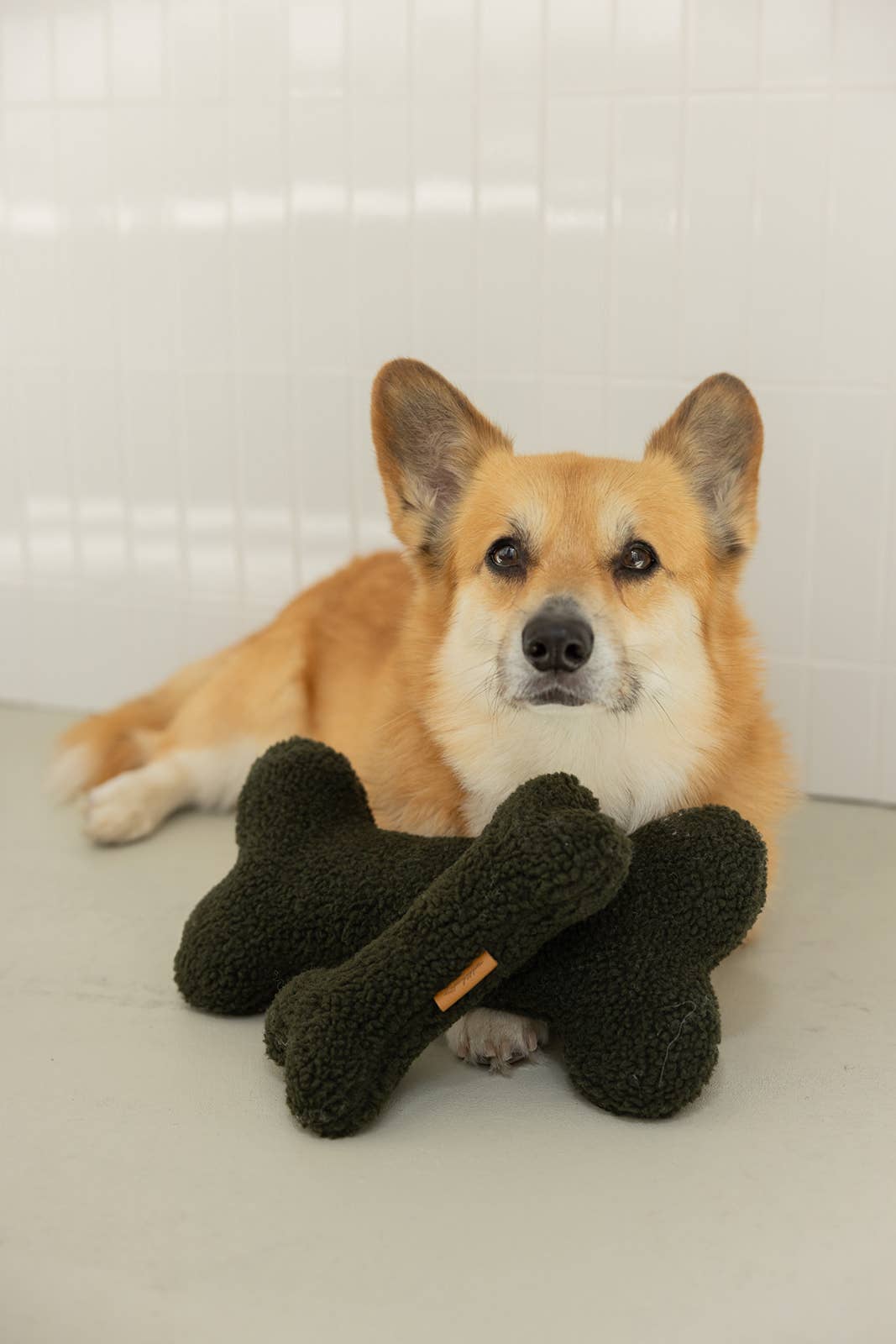 Spielzeug Knochen Teddy Army Green, Lieblingspfote