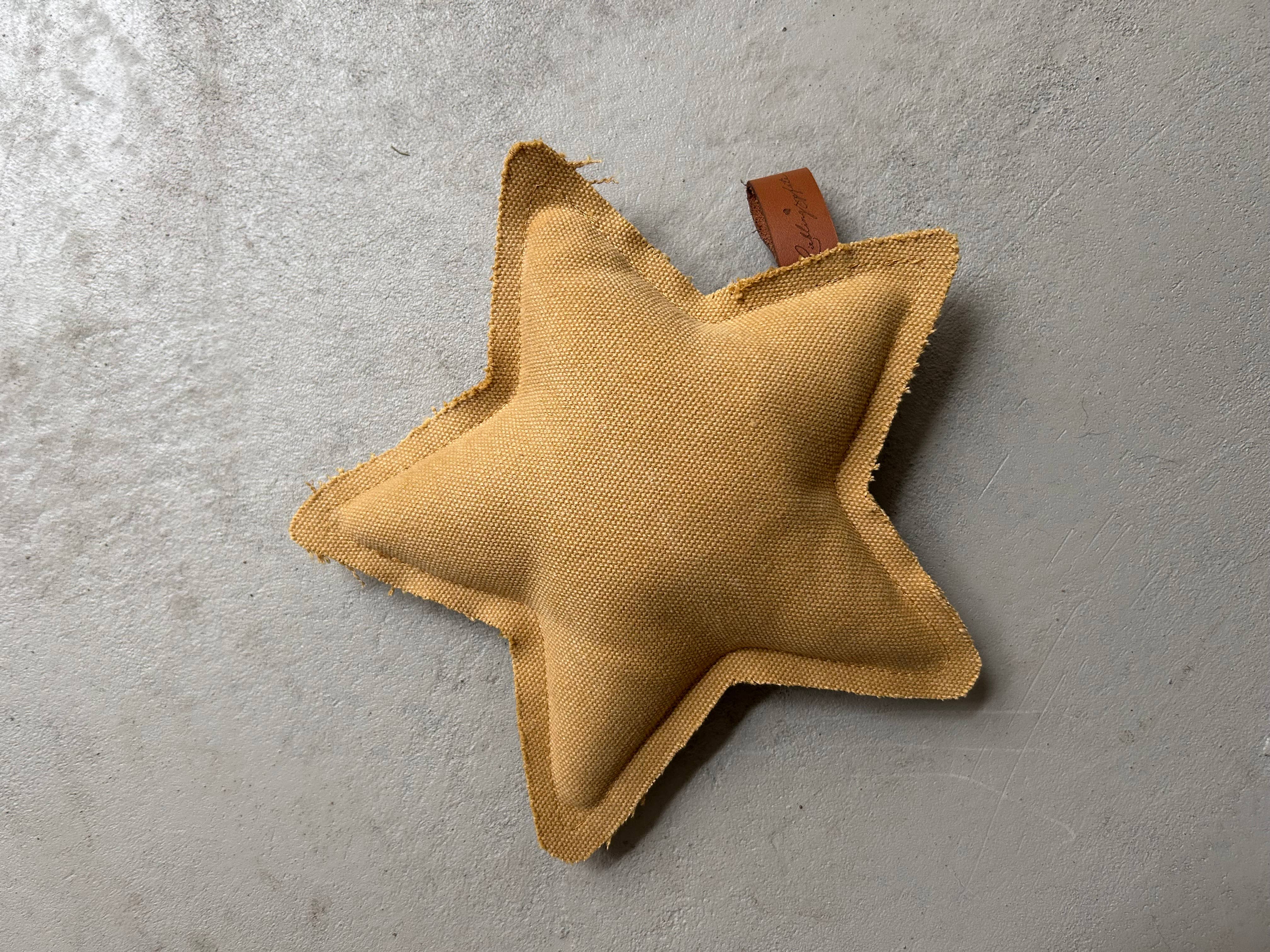Spielzeug Stern aus Canvas, Lieblingspfote