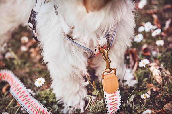 Premium Hundeleine - 3-fach verstellbar - 2m - Pink/Beige