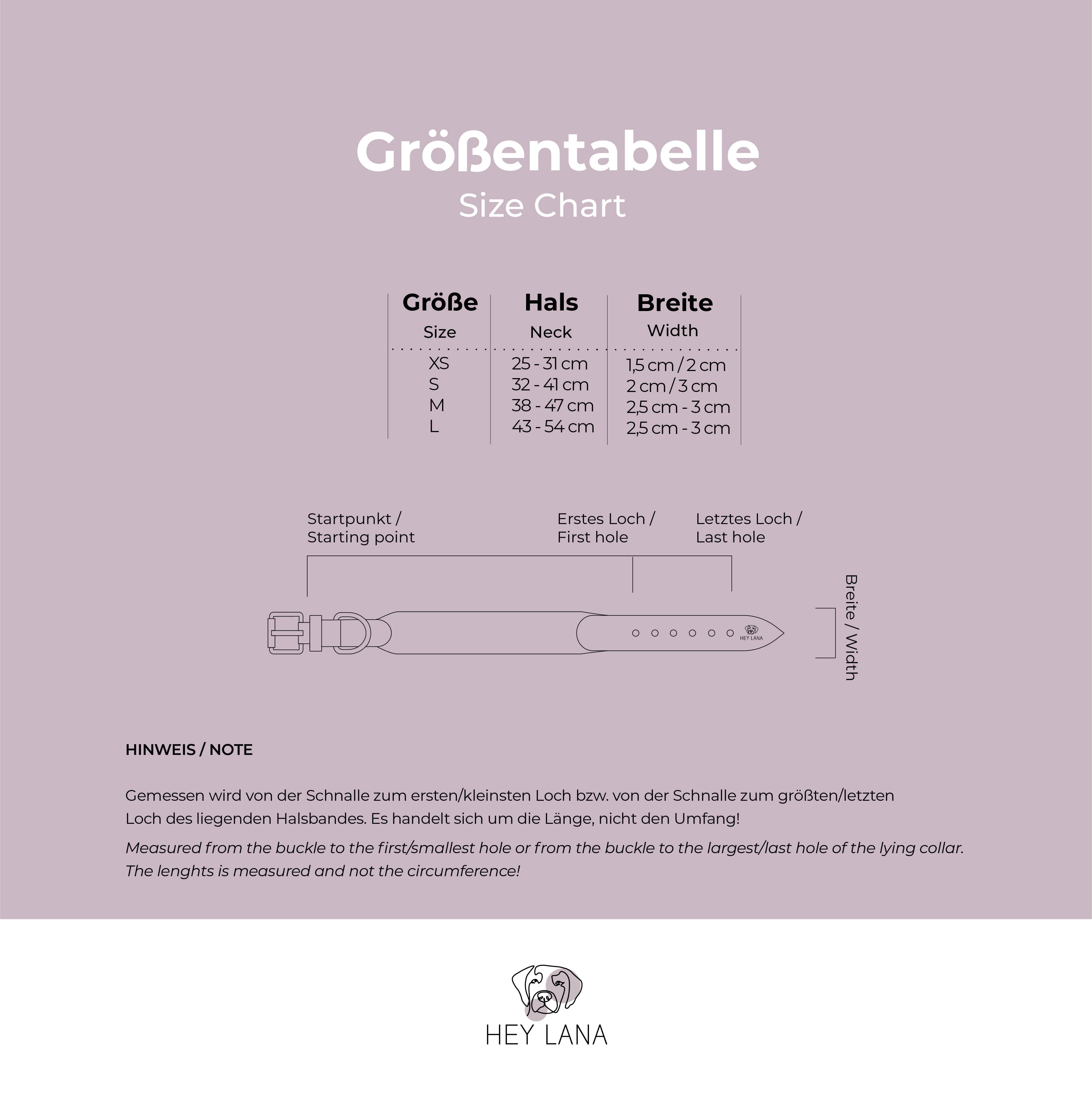 Premium Hundehalsband Gepolstert