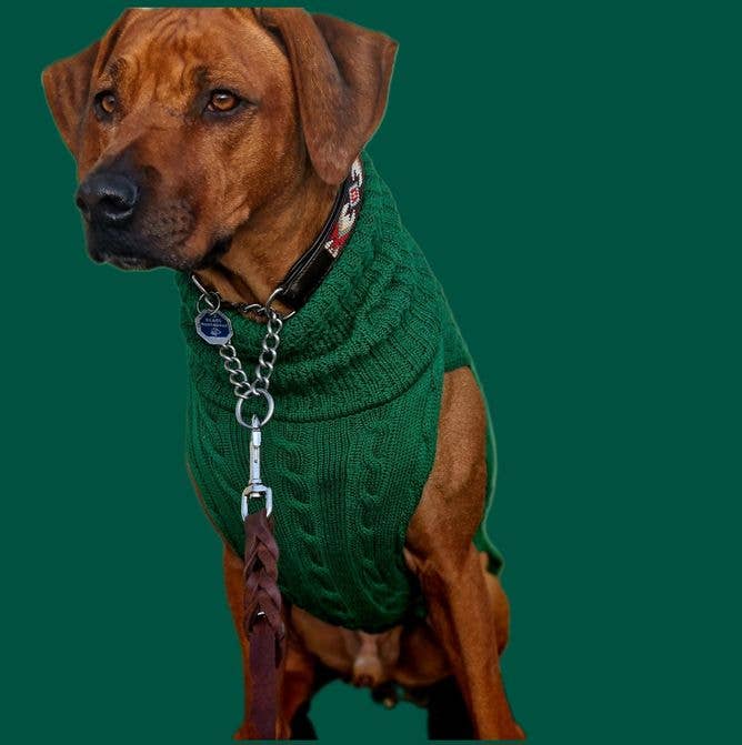 Hundepullover SMARTY GRÜN 100 % Merinowolle