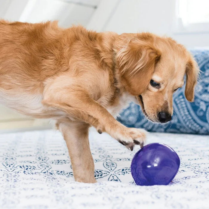 Orbee Tuff Lil Snoop, Planet Dog