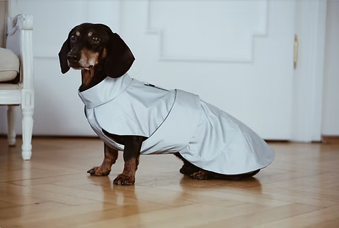 Hunderegenmantel Mondrean für Dackel, Dachshund Couture, vollreflektierend