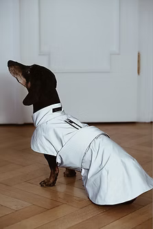 Hunderegenmantel Mondrean für Dackel, Dachshund Couture, vollreflektierend
