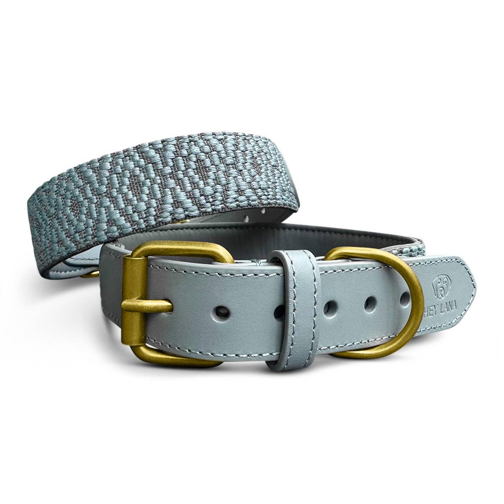 Premium Hundehalsband Gepolstert