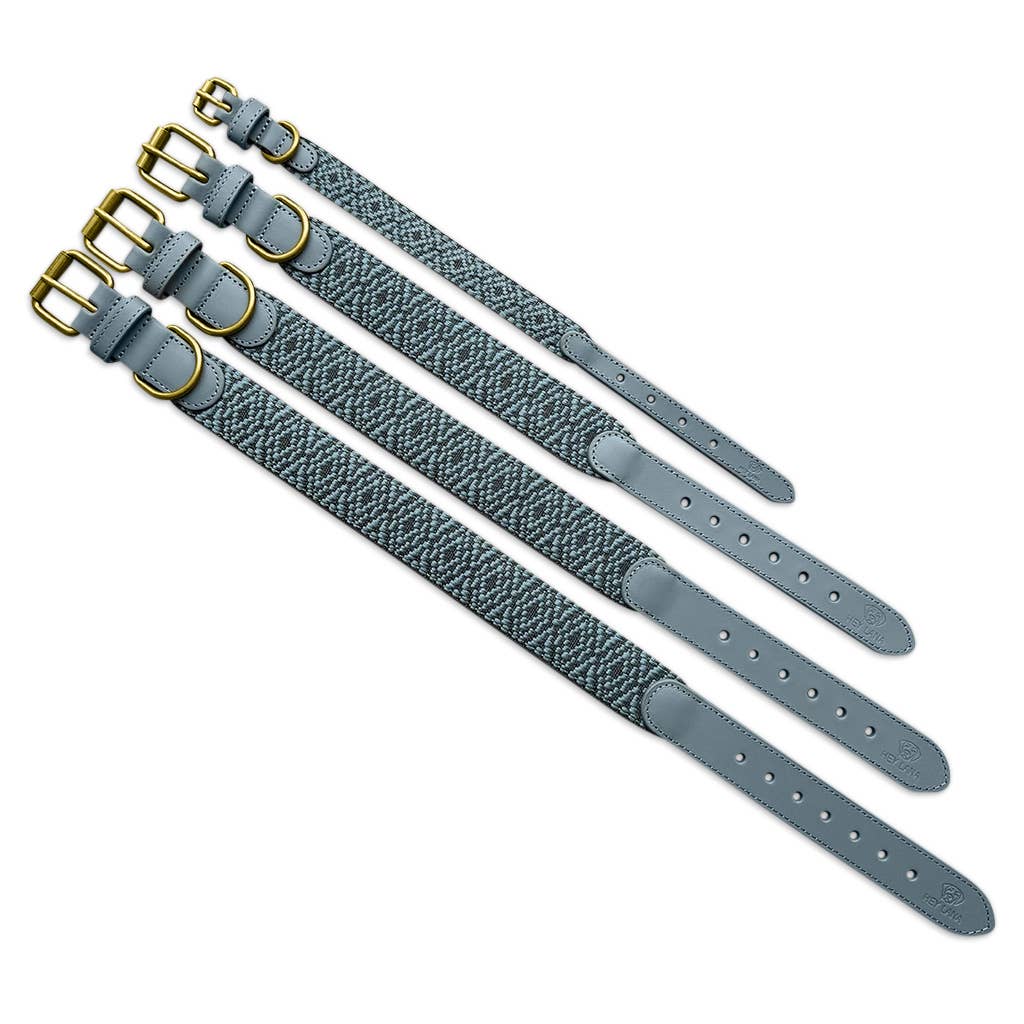 Premium Hundehalsband Gepolstert