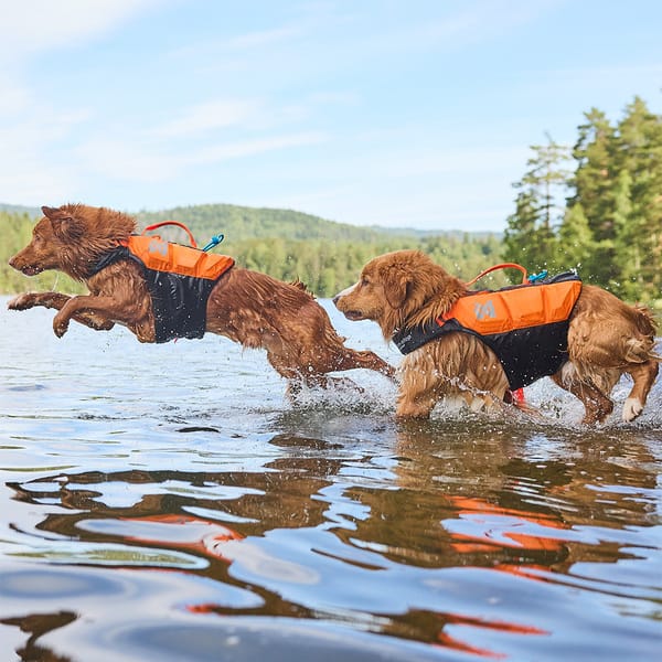 Protector Life Jacket, Non-stop dogwear