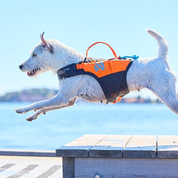 Protector Life Jacket, Non-stop dogwear