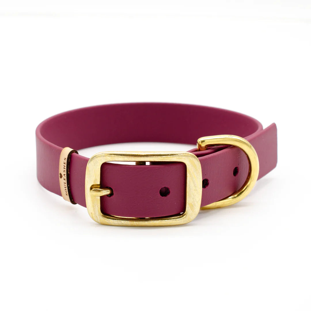 Halsband Biothane mit Lederhaptik, Souleashes