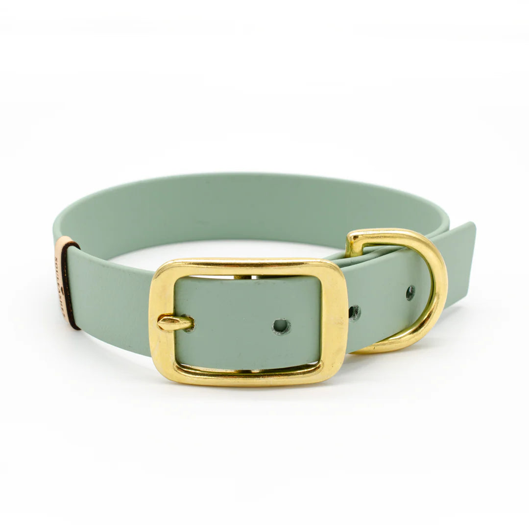 Halsband Biothane mit Lederhaptik, Souleashes