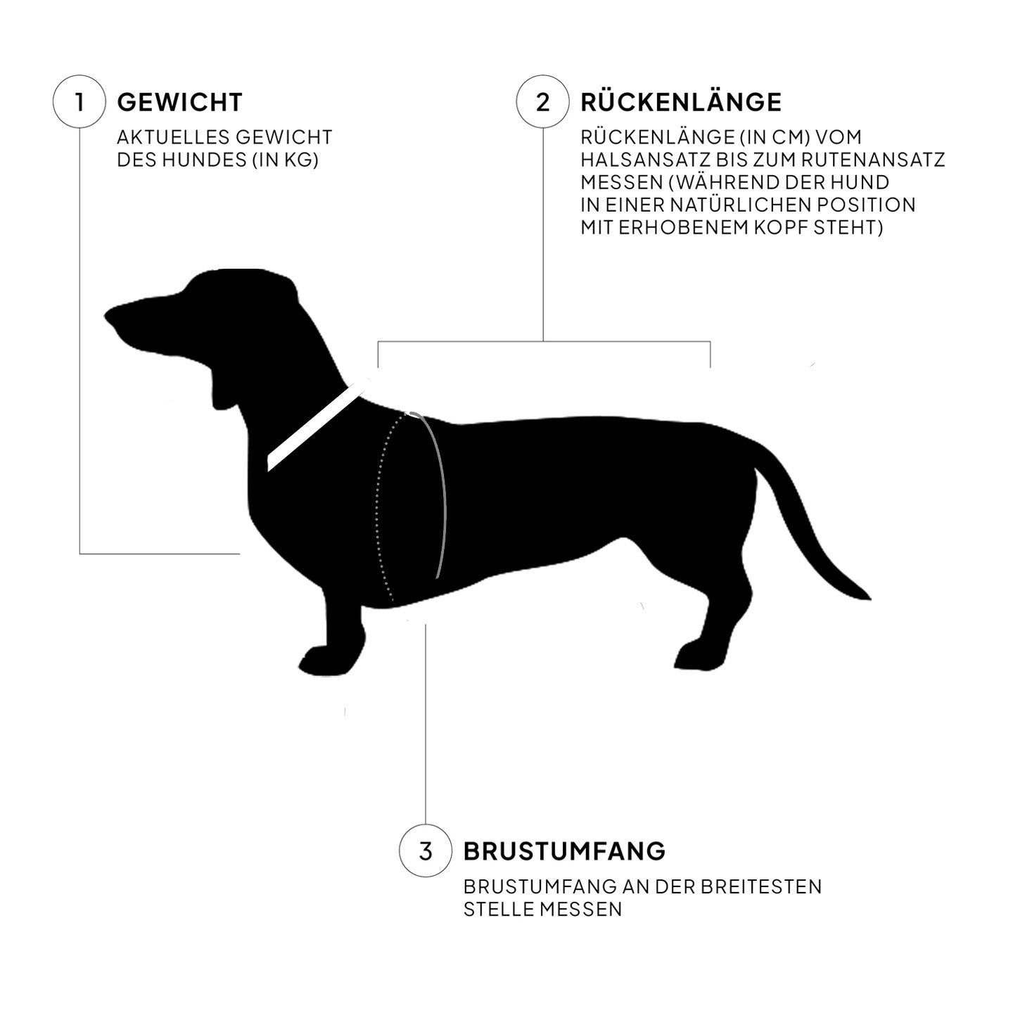 Dog Sweater Cornwall Dachshund Lime Green, Cloud7