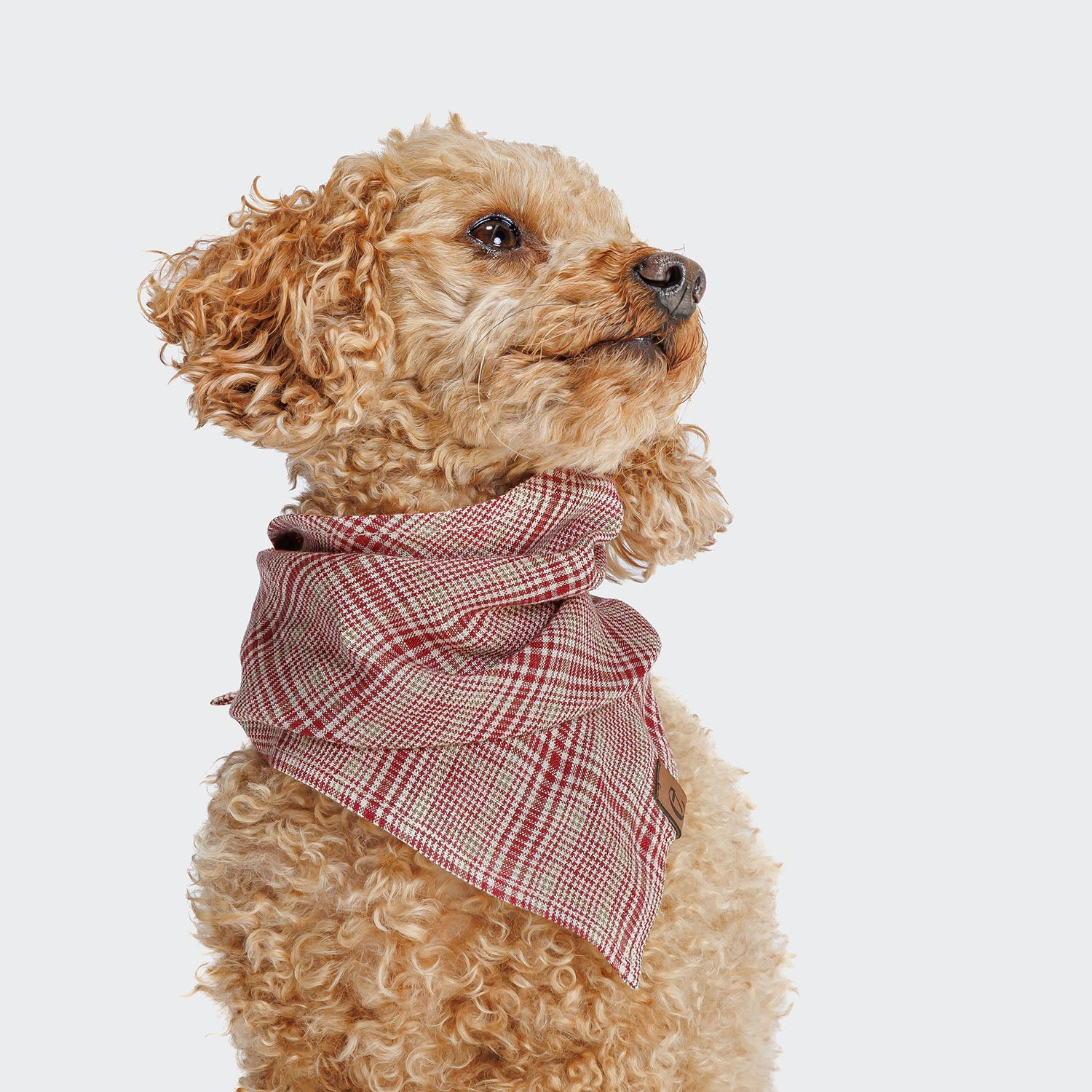 Bandana Check, Cloud 7