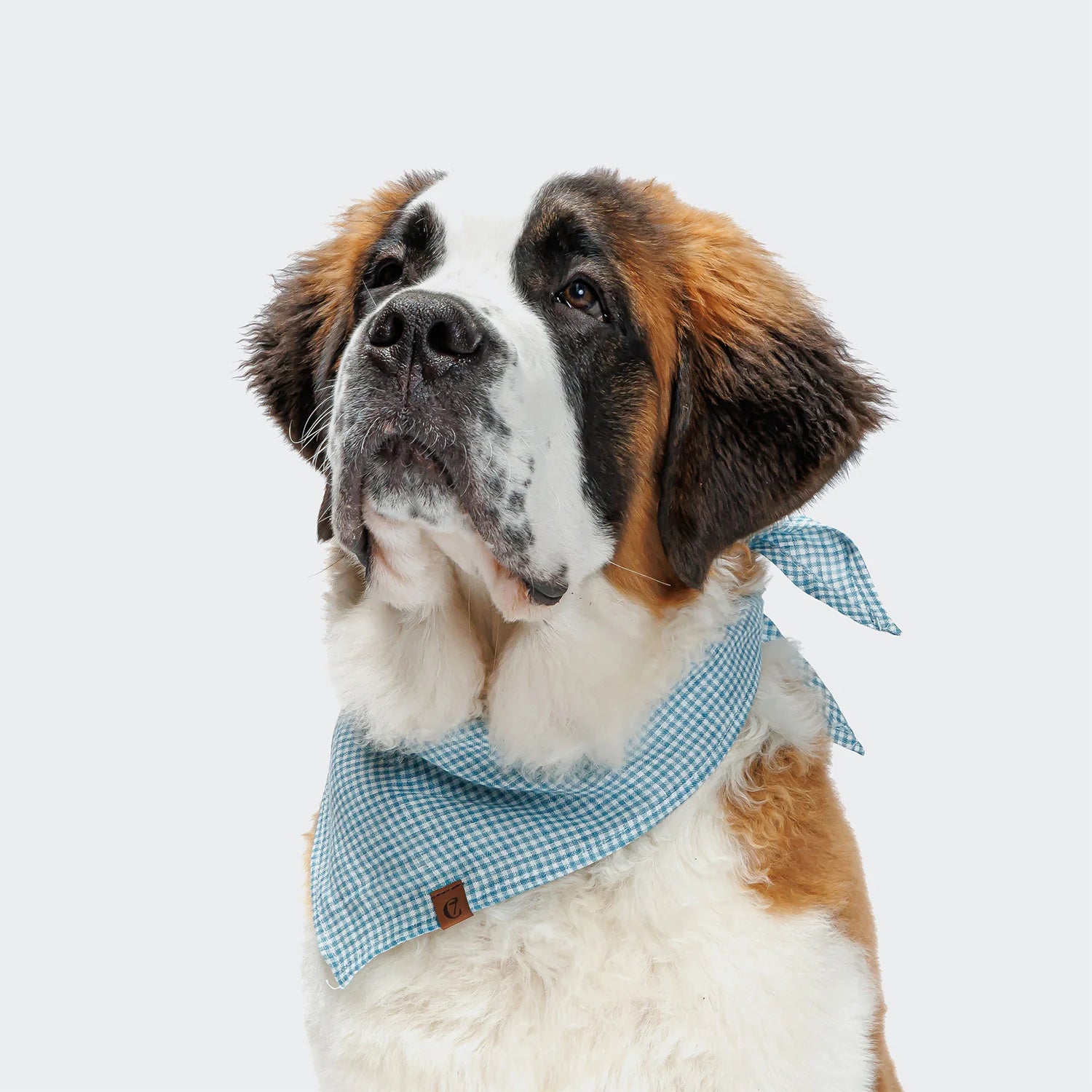 Bandana Mini Check Blue, Cloud7