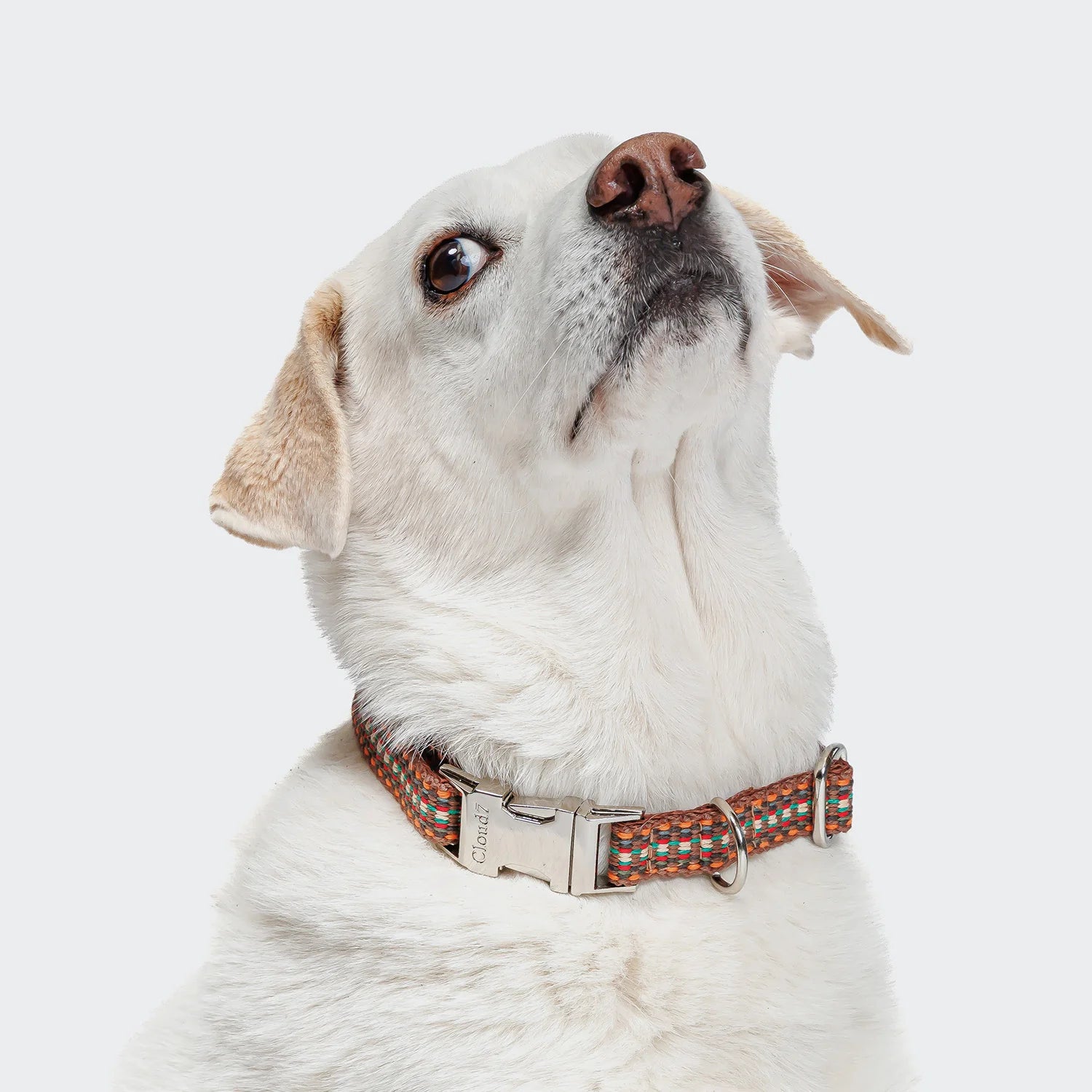 Hundehalsband Click Prater Sunset, Cloud7