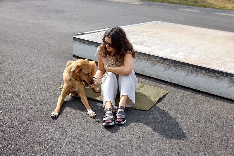 Dog Travel Bag Nobo, Palopa