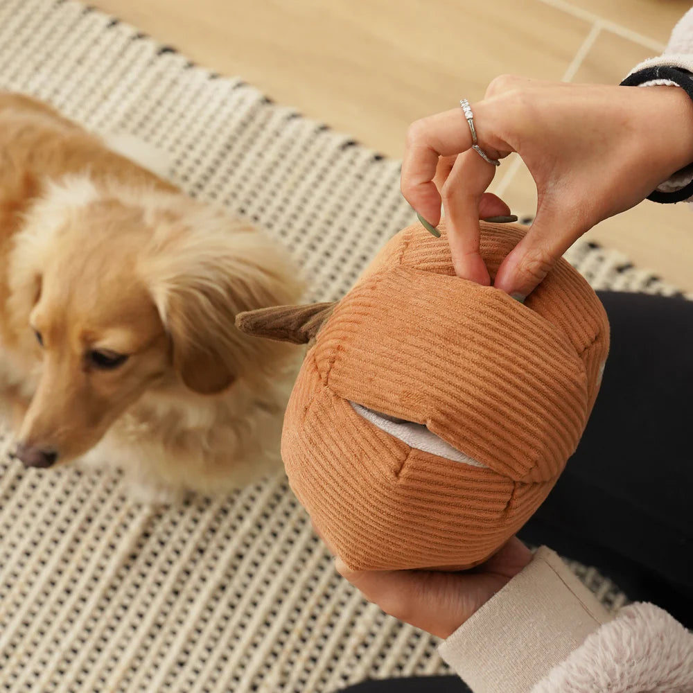 Cinderella, Lambwolf