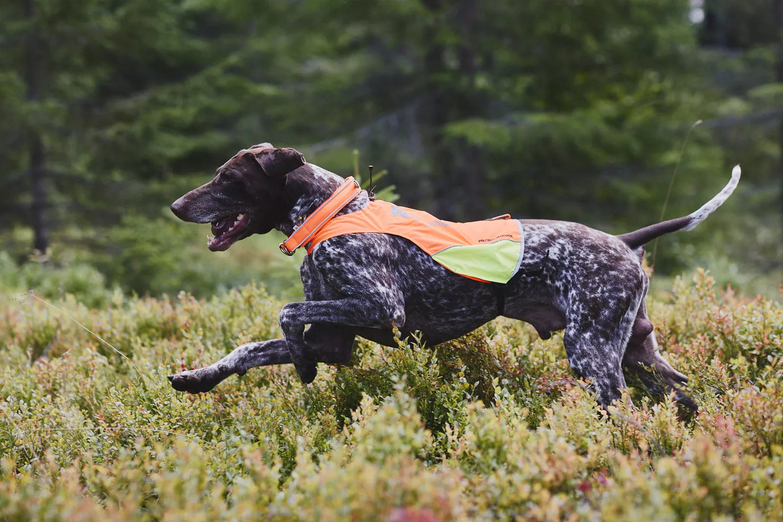 Protector Cover Vest, Nonstop