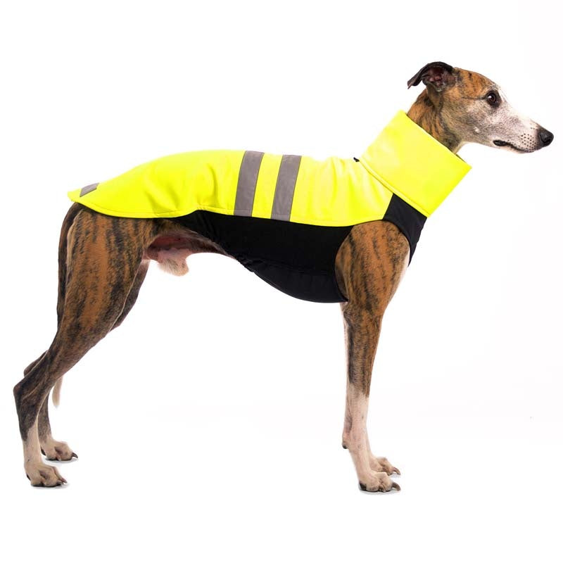 Hundepullover 'Hachico NEON', SofaDogwear