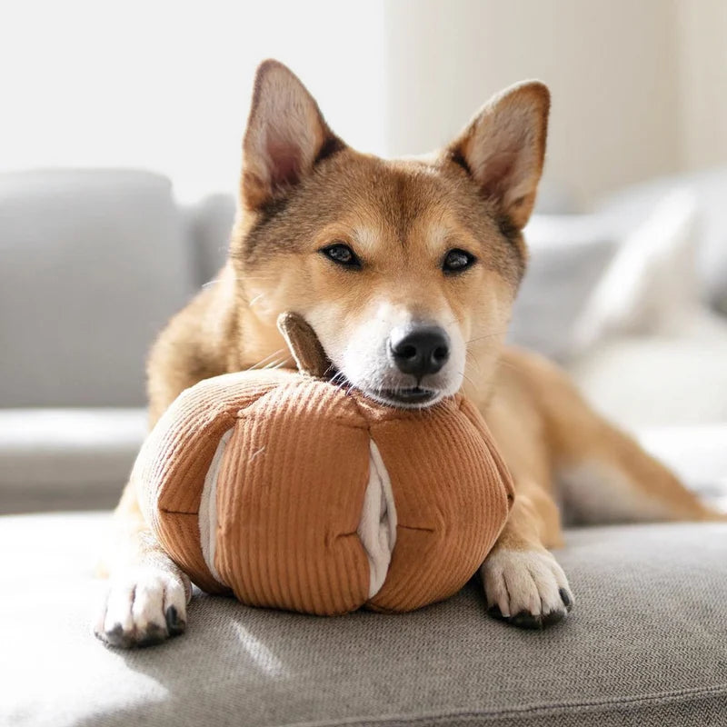 Cinderella, Lambwolf