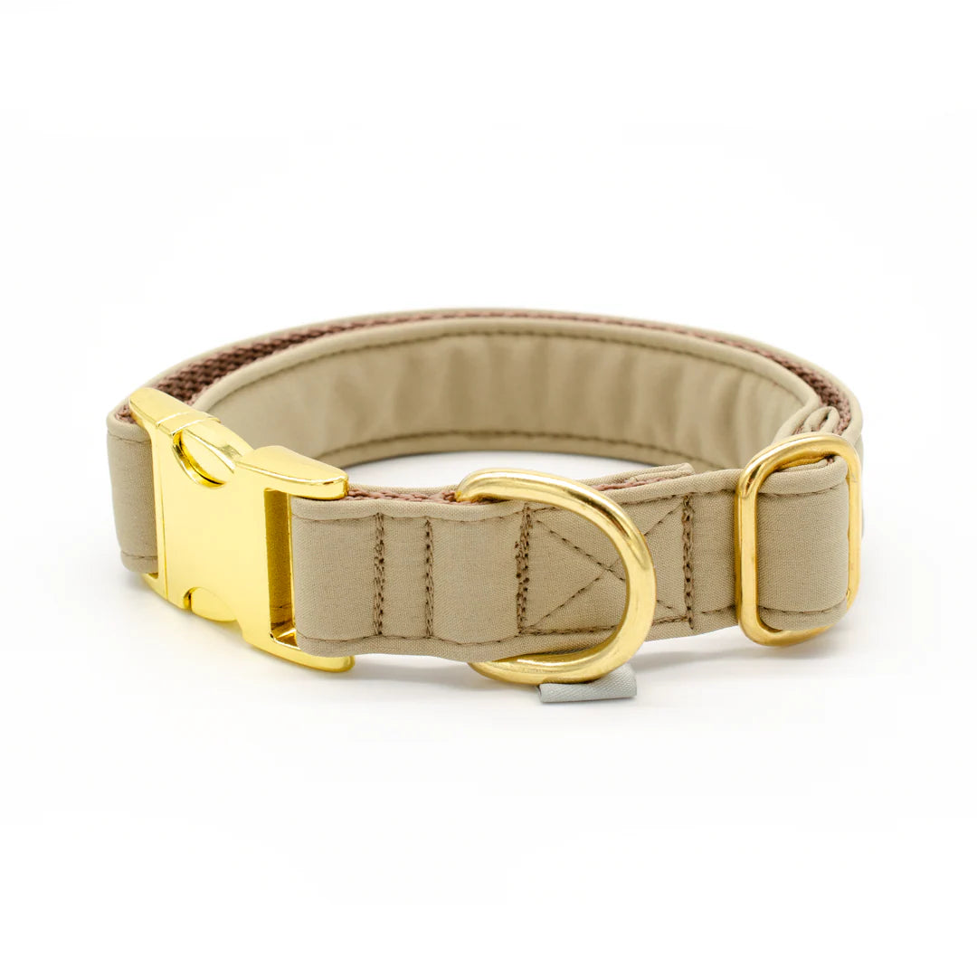 Halsband, Softshell, Souleashes, 2 cm breit