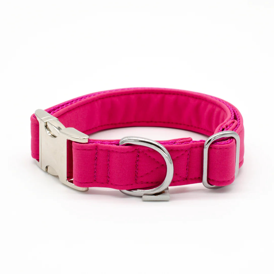 Halsband, Softshell, Souleashes, 2 cm breit