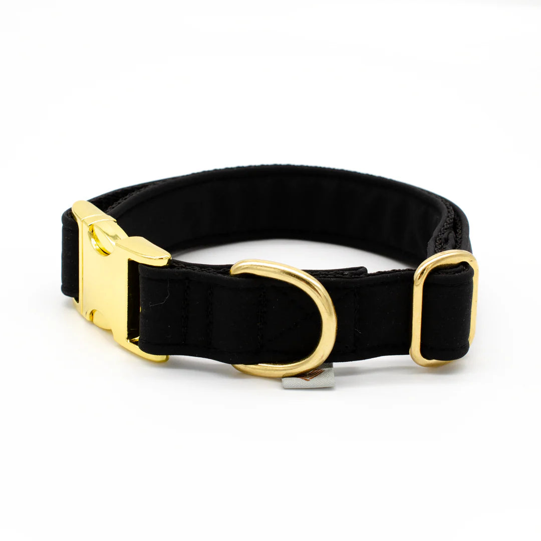 Halsband, Softshell, Souleashes, 2 cm breit