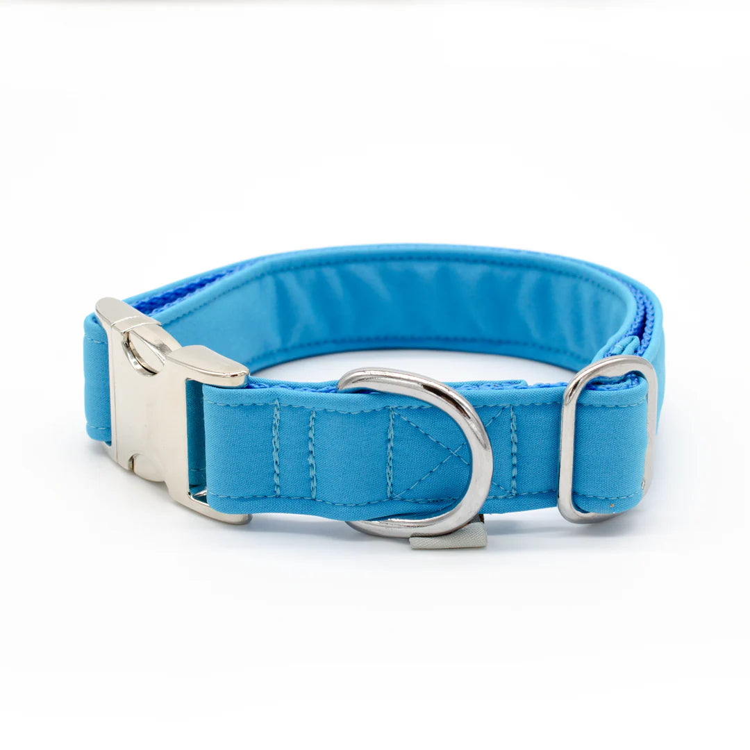 Halsband, Softshell, Souleashes, 2 cm breit