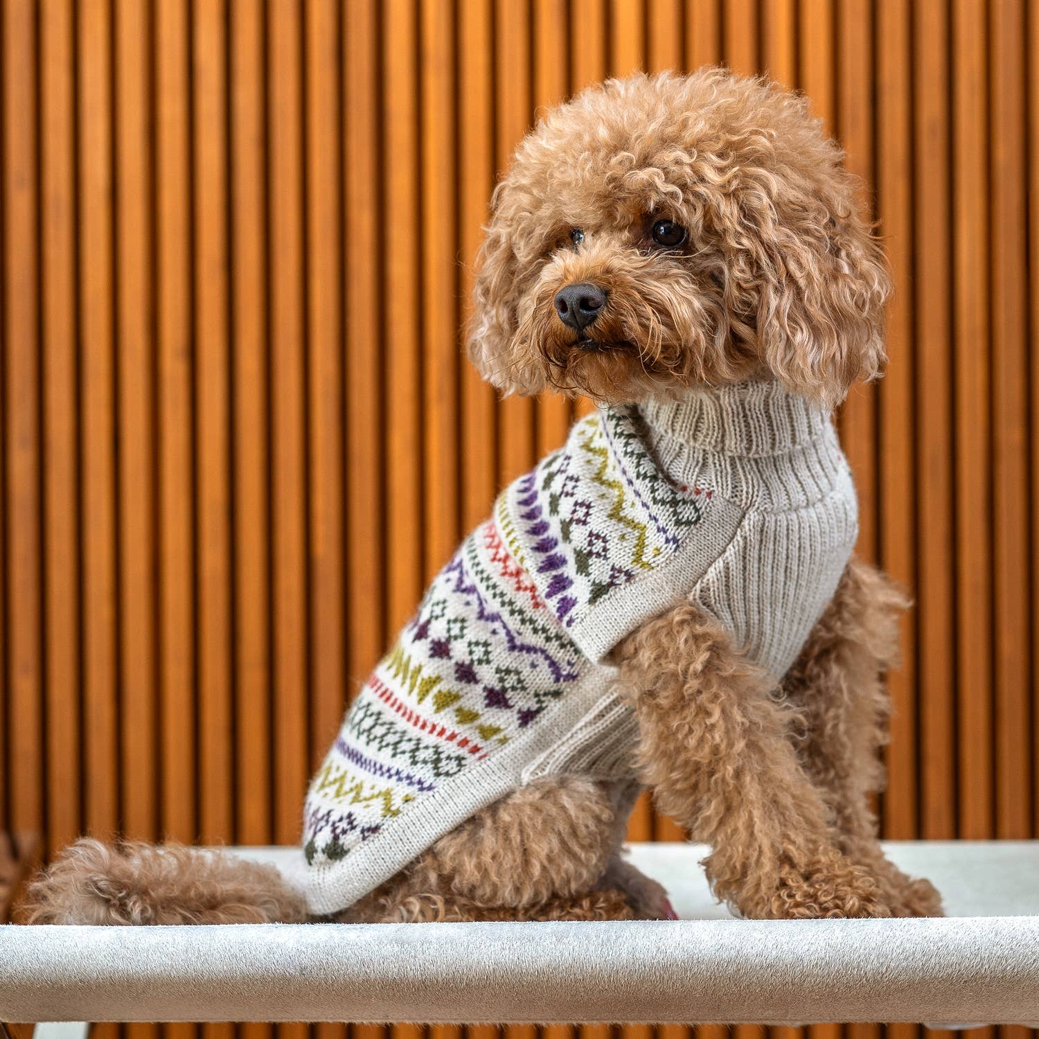 Beiger Tribal-Alpaka-Hundepullover