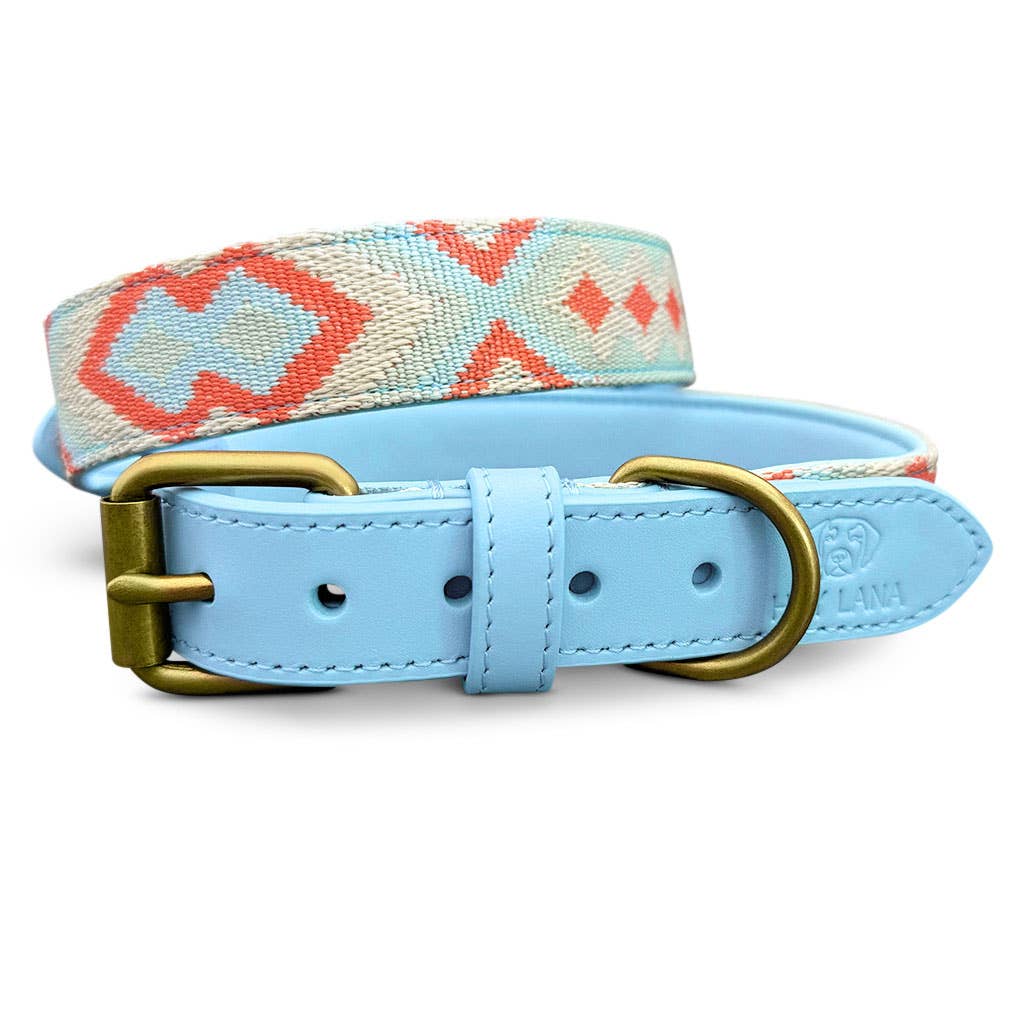Premium Hundehalsband Gepolstert