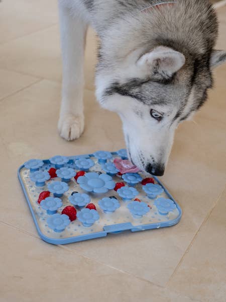 Yoomy Daisy - Beschäftigungs- und Leckmatte für Hunde - Lavendel