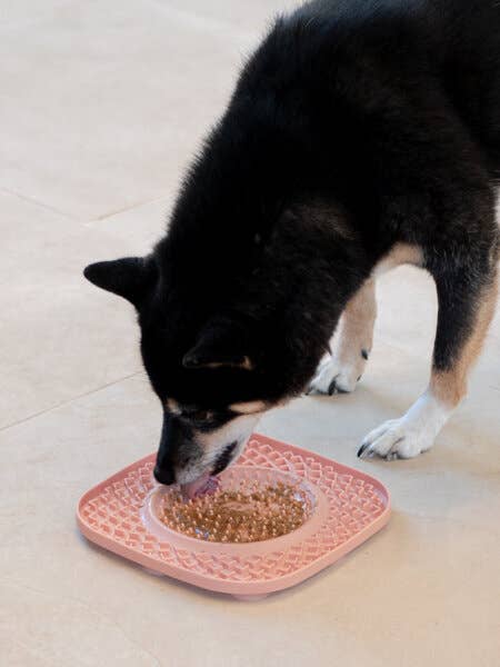 Leckmatte für Hunde und Katzen - YOOMy Plate - Gelb