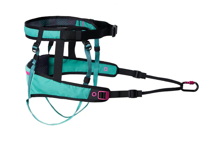 CaniX Belt, Non-stop dogwear