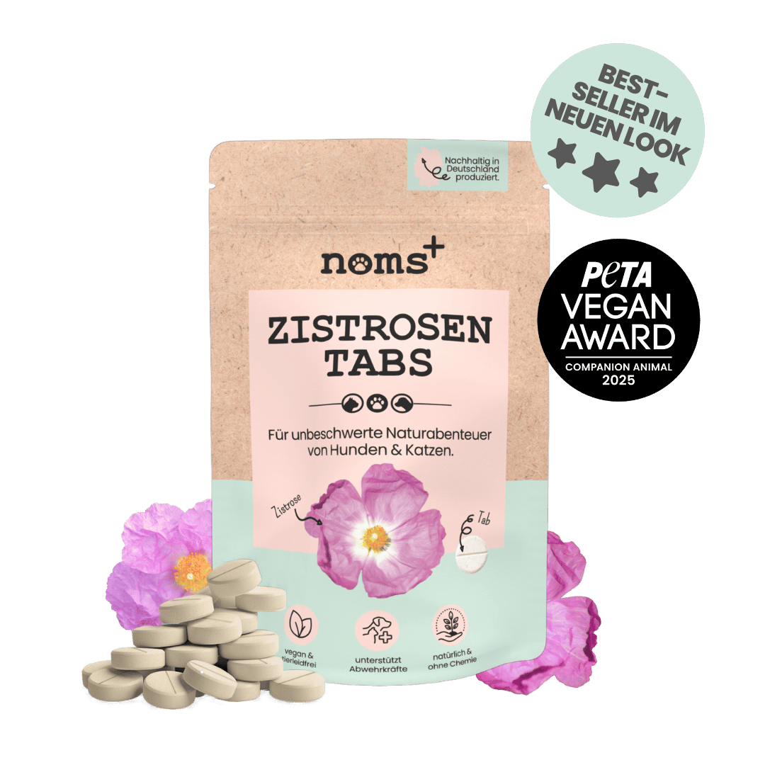 Zistrosen Tabs - natürliches Zistrosen-Leckerli zur Saison