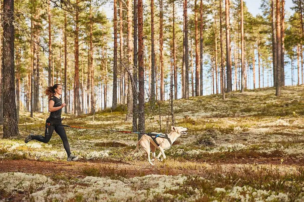 CaniX Belt, Non-stop dogwear