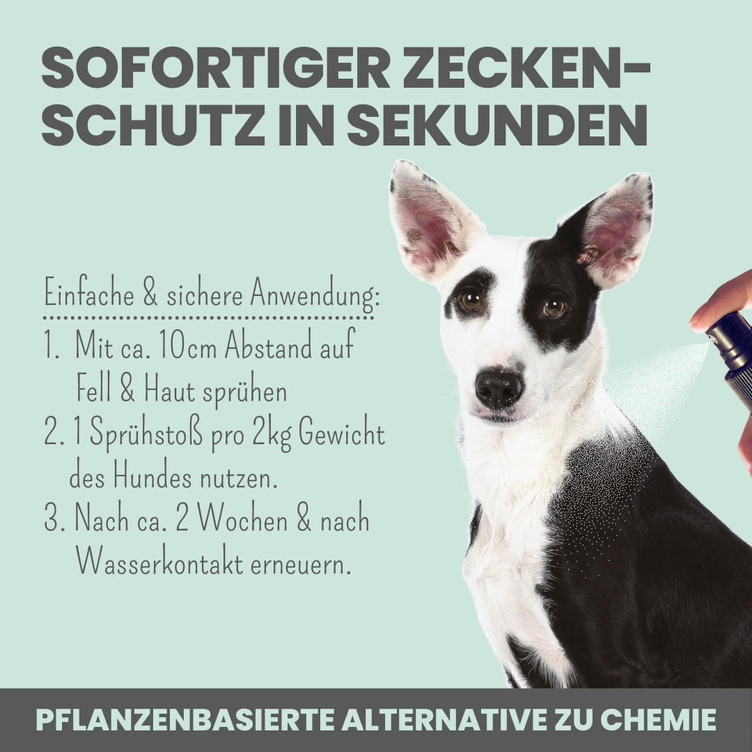 Zpray für Hunde gegen Zecken, Flöhe, Milben & Mücken