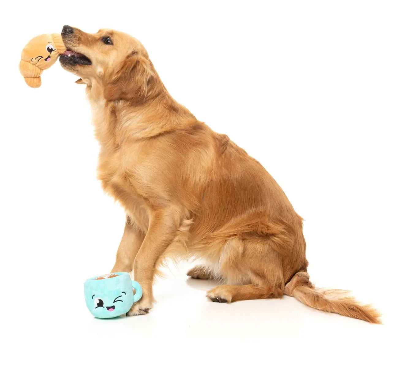 Crossaint & Cappuccino, Fuzzyard