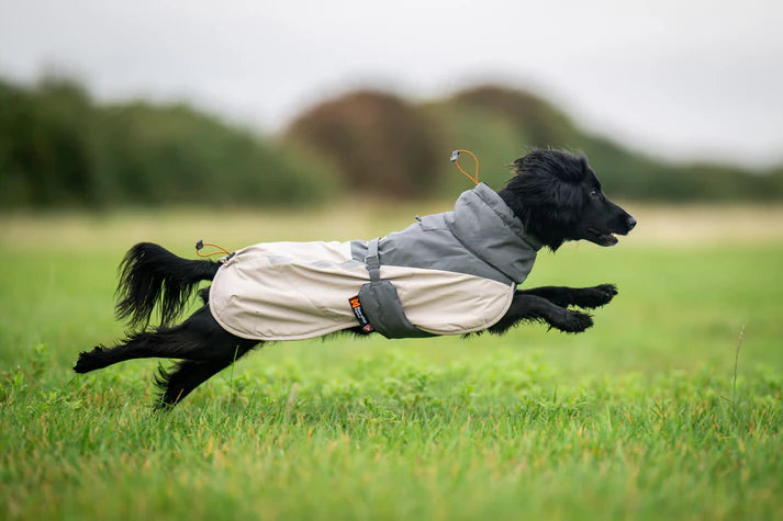 Glacier Wool Jacket 3.0, Non-stop dogwear