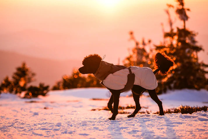 Glacier Wool Jacket 3.0, Non-stop dogwear